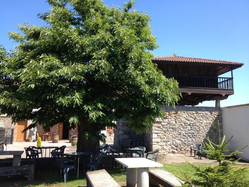 Archivo:Foto 07-07-13 12 12 46.jpg