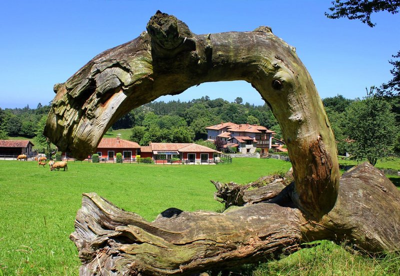 Archivo:Arredondo-arbol2-1422x800-web.jpg