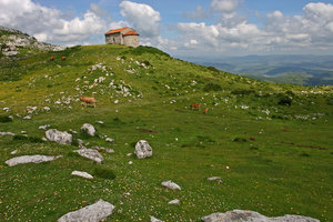 MONCAP2.jpg